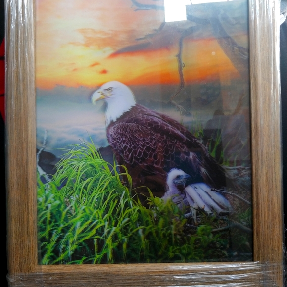 Framed 3D picture - Eagles at nest - Picture 3 of 3